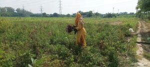 Gallery-Image-35