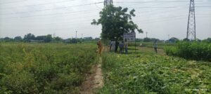 Gallery-Image-36